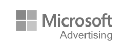 Microsoft Partners